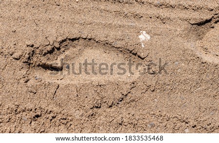 Foot prints in the sand