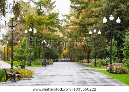 empty alley in the autumnal park

