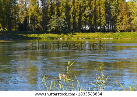 countryside landscape with river and wild plants view