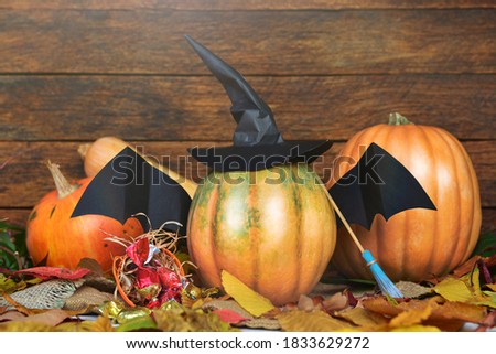 fresh halloween pumpkin, gourd, squash witch hat and bat wings. Halloween Jack o Lantern  candy bowl  Trick or Treat background