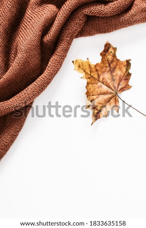 Autumn creative composition. Dry leaves, brown knitted blanket on white background. Fall concept. Autumn background. Flat lay, top view, copy space