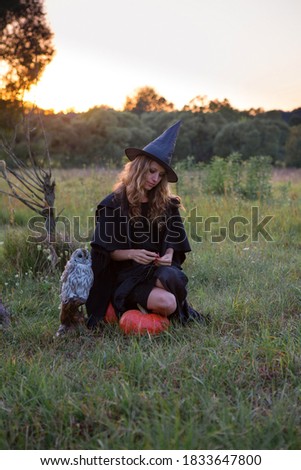 Witch in a field with an owl preparing for the Sabbath