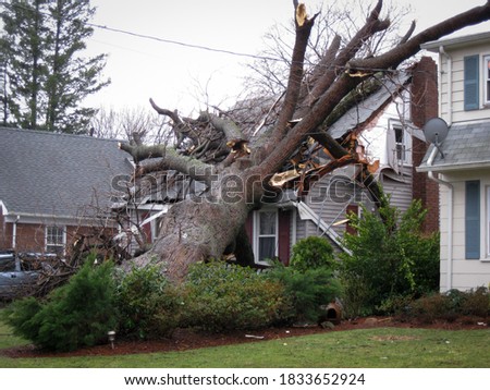 A tree lays on top of a house that has been damaged by a hurricane. Royalty-Free Stock Photo #1833652924