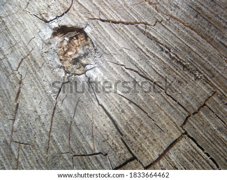 Aging, weathering and ultimate cracking of sawn wood 