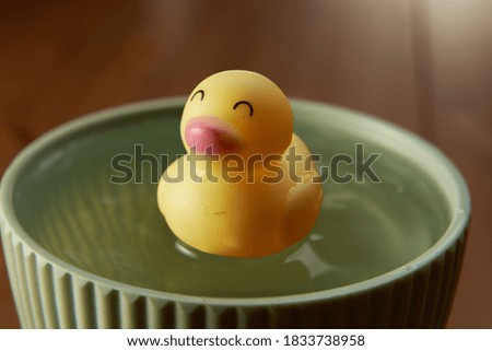 close-up of toy yellow duckling                 