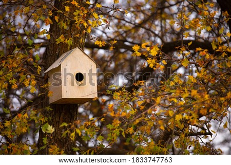 Birdhouse on a tree in autumn. Nesting and feeding place for wild birds.