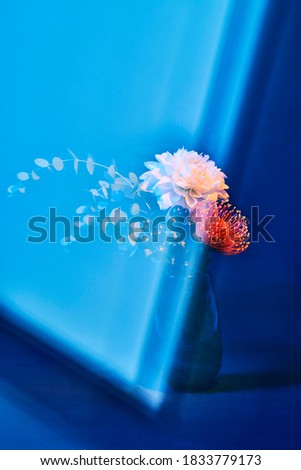 Beautiful flower bouquet with color background