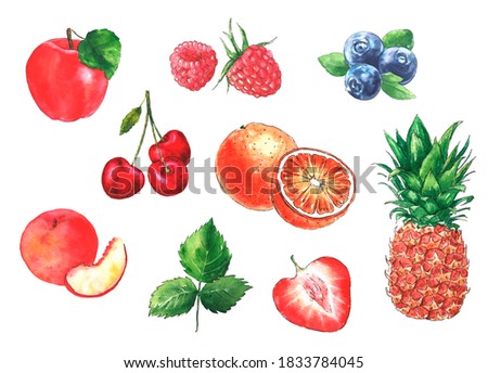 Watercolor illustrations with different fruits and berries isolated on the white background