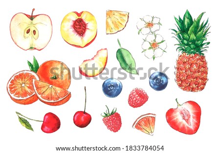 Watercolor illustrations with different fruits and berries isolated on the white background