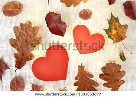 two red hearts surrounded by autumn leaves with backlit garlands. favorite time of the year for dating
