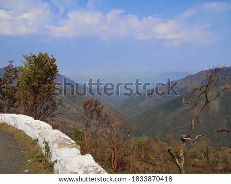 Brown color trees on the mountain valley of Nilgiris,Tamilnadu, India.