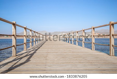 The background is a beautiful long wooden pier. close-up