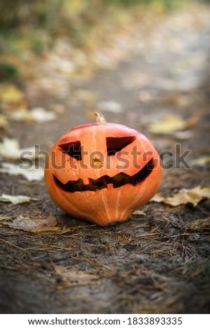 Halloween pumpkin with autumn leaves. Jack o lantern on october ground in park or forest