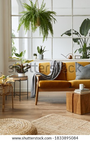 Interior design of scandinavian open space with yellow velvet sofa, plants, furniture, book, wooden cube and personal accessories in stylish home staging. Template.