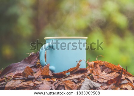 the mug with hot drink on fallen leaves in the rain