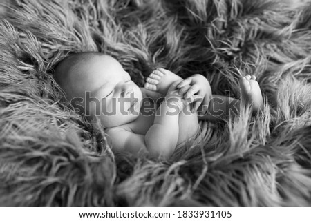 Newborn baby boy  wrapped in blue wrap on gray furry blanket. Black and white picture.
