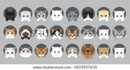 Cat vector breeds cute pet animal set illustration. Different type of vector cats Royalty-Free Stock Photo #1833937630