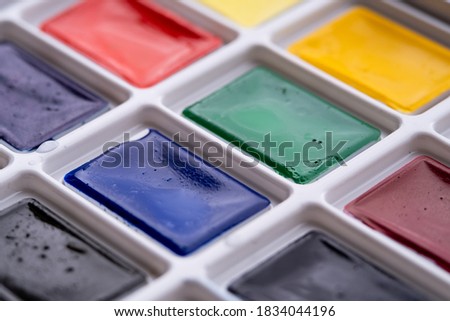 watercolor different colors closeup paint