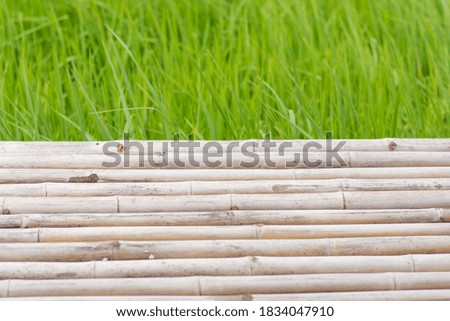Old grey bamboo decking and wall of plant in garden. Free space for design or montage