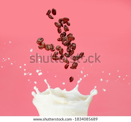 roasted coffee beans falling into a milk splash isolated on pastel pink background