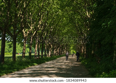 Two senior men cycling in Vincennes forest of Paris. Back view. Lockdown restrictions easing, deconfinement start in France. Elderly wellbeing, healthy lifestyle, eco transport concept.
