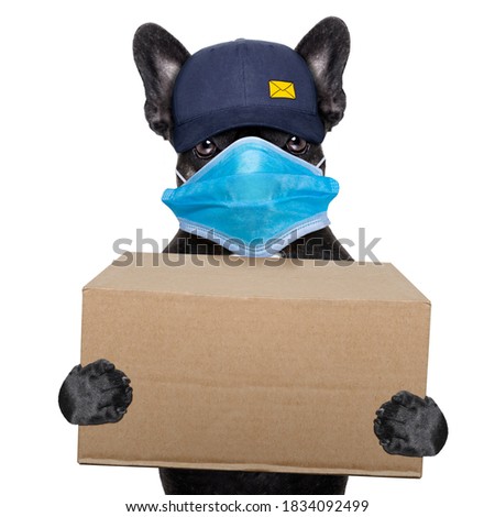 postal dog delivering a big brown package ,in covid 19, cornavirus , virus  time Royalty-Free Stock Photo #1834092499