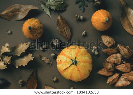 Autumn composition made of pumpkins, dried leaves, chestnuts and acorns. Autumn, fall, halloween concept. Flat lay, top view.