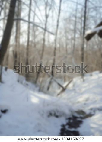 Defocused photography. Blurred background of winter forest, trees covered with snow, copy space