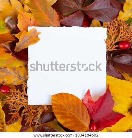 colorful autumn leaves frame with white square paper with copy space hello fall card