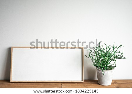 Blank picture frame with Euphorbia tirucalli Linn plant, copy space for text.