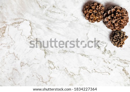 Christmas background.Pinophyta, brown pinecone with tree leaves and red fruits on white marble.