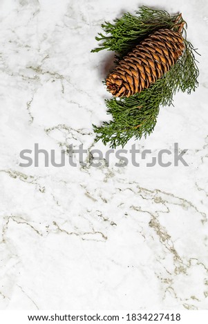 Christmas background.Pinophyta, brown pinecone with tree leaves and red fruits on white marble.