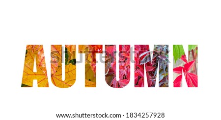 Banner with lettering of bold text saying autumn in different colors with real plants at this season behind at white background