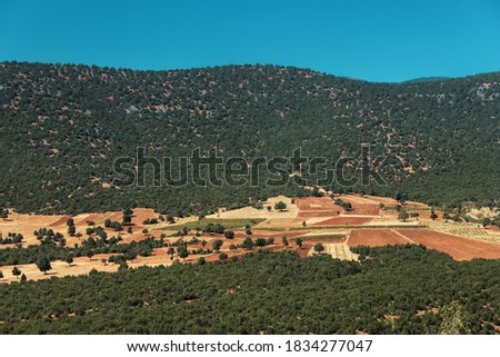 Aerial view of arable land ready for sowing in the middle of a forest in the Mediterranean area