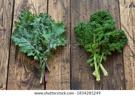 Fresh variety kale leaves on the wooden background, flat lay