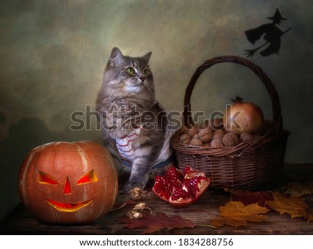 Funny Halloween cat and pumpkin