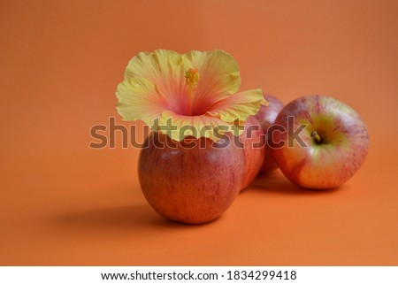 Red and fresh apples with flowers on an orange background. Minimal and creative concept.