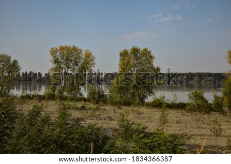 Shore of a river bordered by trees after a flood in autumn