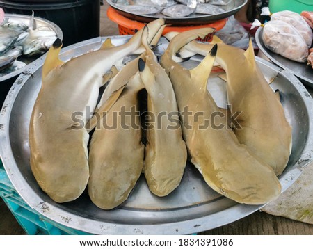 Many sharks the dead were placed on large plates in the market waiting for the public to come and buy. Bring to cook food for eating