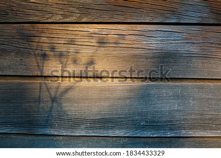 Dark wooden background with shadow in the form of plant silhouette. Brown wood background. copy space