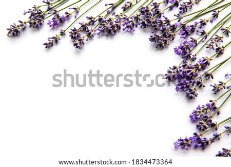 Fresh flowers of lavender bouquet, top view on white background