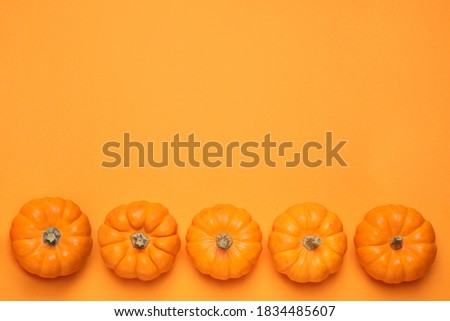 Fresh ripe pumpkins on orange background, flat lay. Space for text