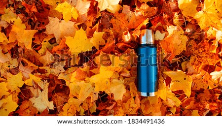 The thermos lies on the autumn foliage. Copy space. Metal vacuum thermos