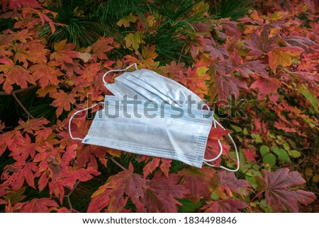 medical masks lie on trees with autumn foliage. second wave of coronavirus