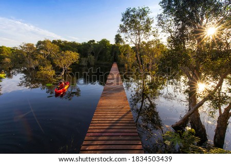 Travel Kayaking, Women Paddling Transparent Canoe Kayak in peat swamp forest wetlands in morning sunrise, Rayong botanic garden, A Wetland Sanctuary of Eastern Thailand, Rayong Province, Thailand
