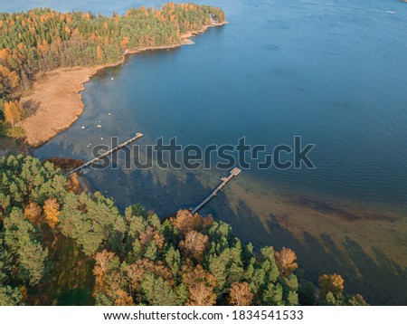 Coastline, forest and sea. Sunny day, Finland, Scandinavian nature. Autumn landscape, photo from above from a drone.