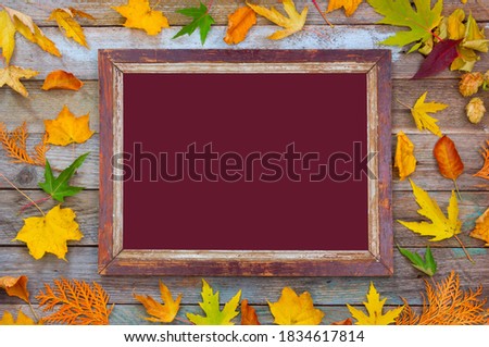 autumn composition. bright autumn leaves and picture frame on a wooden background with maroon mock up for text