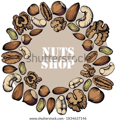 Hand drawn color illustration set of pecan, almond, walnut, hazelnut, pistachio, cashew nuts in a circle. Health products. Nuts shop. Handwritten graphic technique.