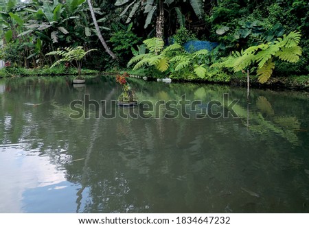 natural pond in the forest. nature photo object