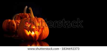 Carved halloween pumpkin group on black background. Happy jack-o-lantern scary for celebration.
